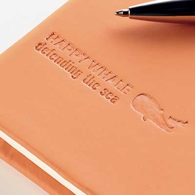 b2b-suhi-zig B2B Suhi žig