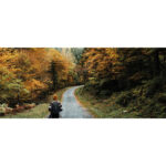 Ruksak 300D RPET BRENNA 16'' veličine